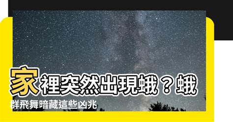 家裡突然出現很多蛾|【家裡蛾很多】家裡蛾很多？別怕！一招教你輕鬆解決惱人蛾蚋、。